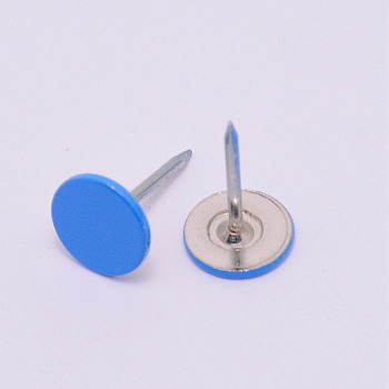 Iron Flat Head Push Pins, Drawing Pins, Thumb Tack, for Home, School, Dodger Blue, 16.3x10.5mm, Pin: 1.3mm