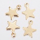 304 Stainless Steel Charms(X-STAS-H436-51)-1
