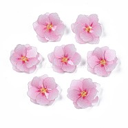 Plastic Beads, Flower, Pink, 22x22x5mm, Hole: 1mm(X-KY-N015-032)