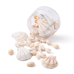 54 Pcs Natural Dyed Scallop Shell Beads Set, Sea Shell Beads, Trumpet Shell, Cowrie Shell, Mixed Color, 39~43x37~42x6~7mm, Hole: 2mm, 3 styles(FIND-FS0001-19)