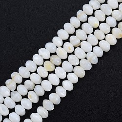 Natural Freshwater Shell Beads Strands, Rondelle, White, 4.5x3.5mm, Hole: 0.9mm, about 114pcs/strand, 14.92 inch(37.9cm)(SHEL-G013-03B)