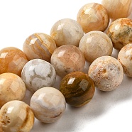 Natural Crazy Lace Agate Beads Strands, Round, 12mm, Hole: 1.5mm, about 32pcs/strand, 15.31''(38.9cm)(G-H298-A12-05)