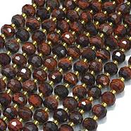 Natural Tiger Eye Beads Strands, with Seed Beads, Faceted, Lantern, 8~8.5x6.5~7mm, Hole: 0.6mm, about 44pcs/strand, 15.16''(38.5cm)(G-K389-E52-01)