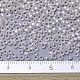 Perles rocailles miyuki rondes(SEED-JP0008-RR1901)-3