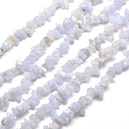 Natural Blue Lace Agate Chip Bead Strands, 5~8x5~8mm, Hole: 1mm, about 31.5 inch(X-G-M205-50)