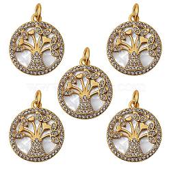 5Pcs Brass Micro Pave clear Cubic Zirconia Pendants, with Shell and Jump Rings, Nickel Free, Flat Round with Tree, Real 16K Gold Plated, 18x16x2.5mm, Hole: 3x5mm(ZIRC-SZ0002-55)