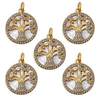 5Pcs Brass Micro Pave clear Cubic Zirconia Pendants, with Shell and Jump Rings, Nickel Free, Flat Round with Tree, Real 16K Gold Plated, 18x16x2.5mm, Hole: 3x5mm