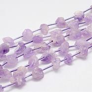 Natural Amethyst Bead Strands, Nuggets, 8~15x7~10x5~10mm, Hole: 1.2mm, about 25pcs/strand, 15.7 inch(400mm)(G-G937-S-03)