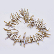 Natural Shell Beads Strands, Nugget Stick, Peru, 22~40x5~9x1mm, Hole: 1mm, about 80pcs/strand, 14.56 inch(37cm)(BSHE-P026-25)
