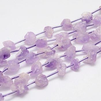 Natural Amethyst Bead Strands, Nuggets, 8~15x7~10x5~10mm, Hole: 1.2mm, about 25pcs/strand, 15.7 inch(400mm)