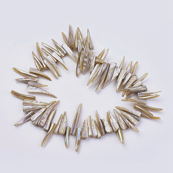 Natural Shell Beads Strands, Nugget Stick, Peru, 22~40x5~9x1mm, Hole: 1mm, about 80pcs/strand, 14.56 inch(37cm)