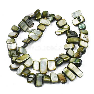 Natural Trochid Shell/Trochus Shell Beads Strands(SHEL-S258-082-B01)-2