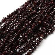 Natural Garnet Beads Strands, Chips, 6~10x4~6x3~5mm, Hole: 1mm, about 32 inch(X-G-P035-14)