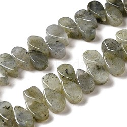 Natural Labradorite Beads Strands, Teardrop, Top Drilled, 9~10x5~5.5x3.5~4mm, Hole: 0.7mm, about 40~48pcs/strand, 7.09~7.28''(18~18.5cm).(G-B064-B62)