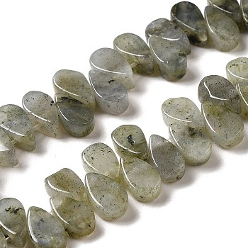 Natural Labradorite Beads Strands, Teardrop, Top Drilled, 9~10x5~5.5x3.5~4mm, Hole: 0.7mm, about 40~48pcs/strand, 7.09~7.28''(18~18.5cm).