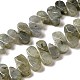 Natural Labradorite Beads Strands(G-B064-B62)-1