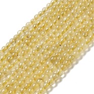 Natural Rutilated Quartz Beads Strands, Grade A, Round, 5mm, Hole: 0.7mm, about 91pcs/strand, 15.55''(39.5cm)(G-D470-02)