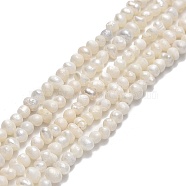 Natural Cultured Freshwater Pearl Beads Strands, Potato, Beige, 2.5~3x3.5~4.5x3~4mm, Hole: 0.5mm, about 119~124pcs/strand, 13.78~13.90 inch(35~35.3cm)(PEAR-F018-11)