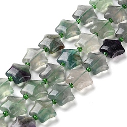 Natural Fluorite Beads Strands, with Seed Beads, Star, 14~15.5x15~16x6.5~7mm, Hole: 1mm, about 24~25pcs/strand, 15.55''~15.95''(39.5~40.5cm)(G-NH0005-012)
