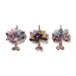 Natural Mixed Gemstone Chip Big Pendants, Rack Plating Brass Tree of Life Charms, Cadmium Free & Lead Free, Rose Gold, 55~64.5x43.5~46x16~19.5mm, Hole: 6.5~7.5mm(G-F763-06RG)