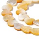Natural Yellow Shell Beads Strands(SHEL-F003-01B)-4