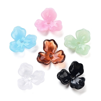 Acrylic Beads Caps, 3-Petal Flower, Mixed Color, 22x23.5x6mm, Hole: 2.8mm