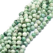 Natural Chrysocolla Beads Strands, Round, 8.5mm, Hole: 1mm, about 48pcs/strand, 15.55''(39.5cm)(G-E576-04B)