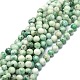 Natural Chrysocolla Beads Strands(G-E576-04B)-1