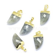 Natural Labradorite Pendants, with Long-Lasting Plated Brass Findings, Faceted, Scabbard, Golden, 19.5x11x5mm, Hole: 3.5x5.5mm(G-F584-B01-G)
