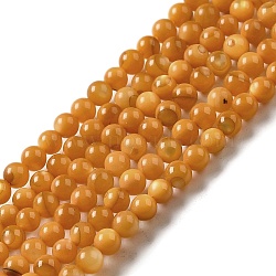 Natural Freshwater Shell Beads Strands, Round, Dyed, Goldenrod, 3mm, Hole: 0.5mm, about 124~132pcs/strand, 14.96''(38cm)(SHEL-H003-03E)