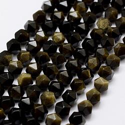 Natural Golden Sheen Obsidian Beads Strands, Star Cut Round Beads, Faceted, 6mm, Hole: 1mm, about 65pcs/strand, 15.3 inch(G-K209-02I-6mm)
