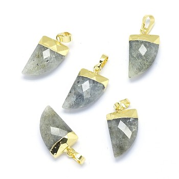 Natural Labradorite Pendants, with Long-Lasting Plated Brass Findings, Faceted, Scabbard, Golden, 19.5x11x5mm, Hole: 3.5x5.5mm