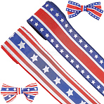 2 Rolls 2 Styles Independence Day Themed Cloth Ribbon, Mixed Color, 2-3/8 inch(61mm), about 5.47 Yards(5m)/roll, 1 roll/style(OCOR-GF0004-51A)