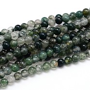 Natürlichen Edelstein runde Perle Stränge, Moos Achat, 4 mm, Bohrung: 1 mm, ca. 100 Stk. / Strang, 16 Zoll(G-J303-07-4mm)