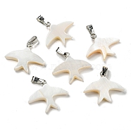 Natural Freshwater Shell Pendants, Swallow Charms with Platinum Plated Alloy Snap on Bails, WhiteSmoke, 18x21.5x3.5mm, Hole: 5.5x2.5mm(PALLOY-Q462-03P)
