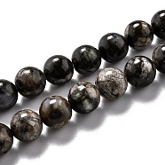 Natural Glaucophane Beads Strands, Round, 8.5mm, Hole: 1.2mm, about 47pcs/strand, 15.67''(39.8cm)(G-O199-01C)