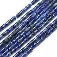 Natural Lapis Lazuli Beads Strands, Column, 4~5x2~2.5mm, Hole: 0.6~0.8mm, about 90~102pcs/strand, 15.3~15.7 inch(39~40cm)(G-F631-B04)