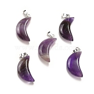 Natural Amethyst Pendants, Moon Charms, with Platinum Tone Brass Findings, 25~25.5x12x5.5mm, Hole: 6x2.5mm(G-Z022-05D)