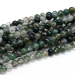 Natürlichen Edelstein runde Perle Stränge, Moos Achat, 4 mm, Bohrung: 1 mm, ca. 100 Stk. / Strang, 16 Zoll(G-J303-07-4mm)