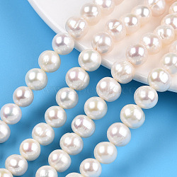 Natural Cultured Freshwater Pearl Beads Strands, Potato, Seashell Color, 8~9x8~9mm, Hole: 0.7mm, about 46~47pcs/strand, 15.63~15.94 inch(39.7~40.5cm)(PEAR-N013-08C)