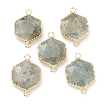 Natural Labradorite Links, with Golden Brass Edges, Polygon, 30x20x6mm, Hole: 2mm