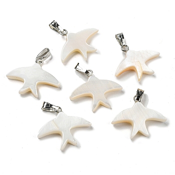 Natural Freshwater Shell Pendants, Swallow Charms with Platinum Plated Alloy Snap on Bails, WhiteSmoke, 18x21.5x3.5mm, Hole: 5.5x2.5mm