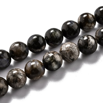 Natural Glaucophane Beads Strands, Round, 8.5mm, Hole: 1.2mm, about 47pcs/strand, 15.67''(39.8cm)