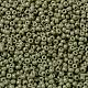 MIYUKI Round Rocailles Beads(SEED-X0055-RR4474)-3