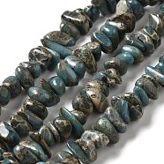 Natural Serpentine Beads Strands, Chip, 6~12x4~8x2~6mm, Hole: 1mm, 15.75~16.14 inch(40~41cm)(G-F771-C01-02)