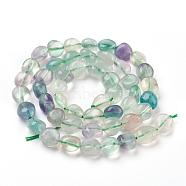 Natural Fluorite Beads Strands, Tumbled Stone, Nuggets, 6~13x5~10x4~7mm, Hole: 0.8mm, about 45~50pcs/strand, 15 inch(38.5cm)(G-F575-18A)