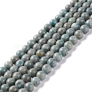 Natural Silver Line Jasper Beads Strands, Dyed & Heated, Round, Cadet Blue, 6~6.5mm, Hole: 1mm, about 61~66pcs/strand, 15.16~15.75 inch(38.5~40cm)(G-P451-02B-E)
