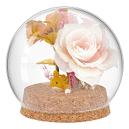 Round Glass Dome Cover, Decorative Display Case, Cloche Bell Jar Terrarium with Cork Base, Clear, 99x92mm(AJEW-WH0513-64)