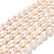 Natural Cultured Freshwater Pearl Beads Strands, Rice, Grade AA, Lime, 8~11x7~7.5mm, Hole: 0.7mm, about 35~36pcs/strand, 13.39''(34cm)(PEAR-E016-190)