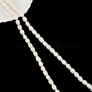 2 Strands 2 Styles Natural Cultured Freshwater Pearl Beads Strands, with Screw Thread, Rice, White, 6~9x6~7mm, Hole: 0.5~0.8mm, 1 strand/style(PEAR-NB0002-07)